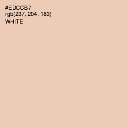 #EDCCB7 - Just Right Color Image